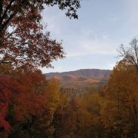 Rustic Charm ico