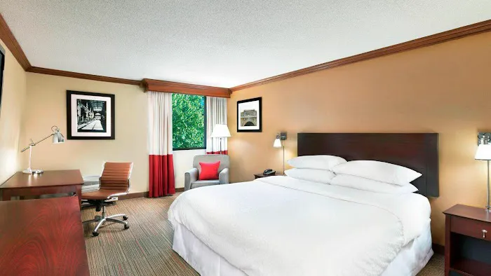 Four Points by Sheraton Asheville Downtown 4