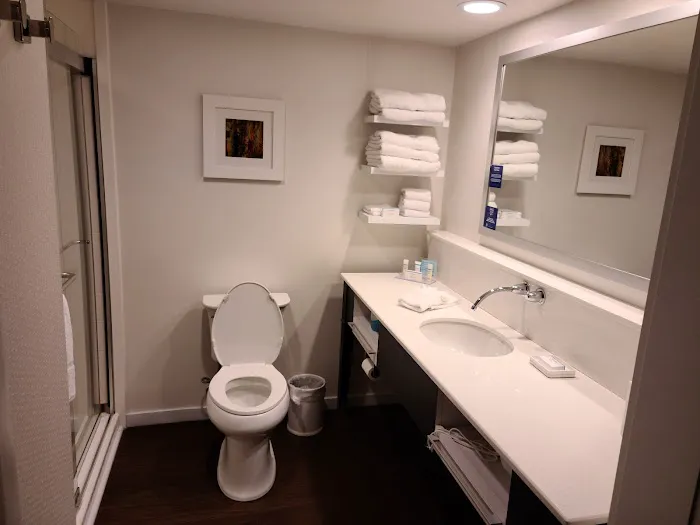 Hampton Inn & Suites Asheville Airport 4