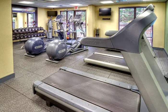 Hampton Inn & Suites Asheville Airport 4