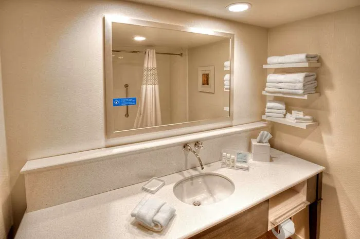 Hampton Inn & Suites Asheville Airport 4