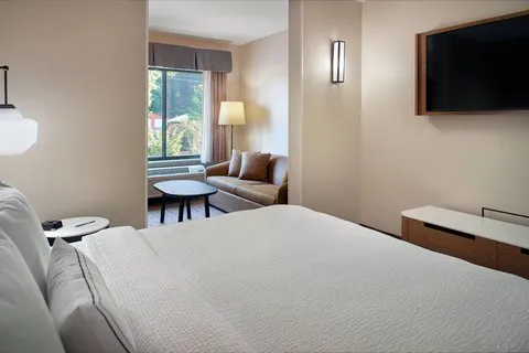 Fairfield Inn & Suites Asheville Airport/Fletcher 4