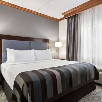 Wingate by Wyndham Fletcher at Asheville Airport ico