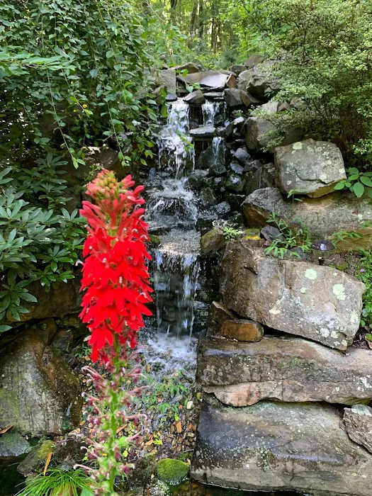 Asheville Woodland Retreat 4