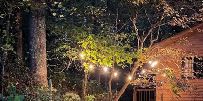Asheville Woodland Retreat