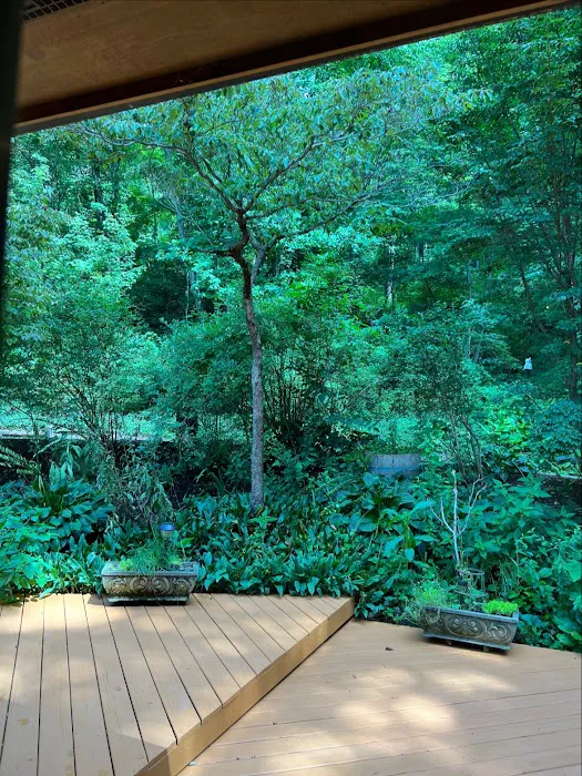Asheville Woodland Retreat 4