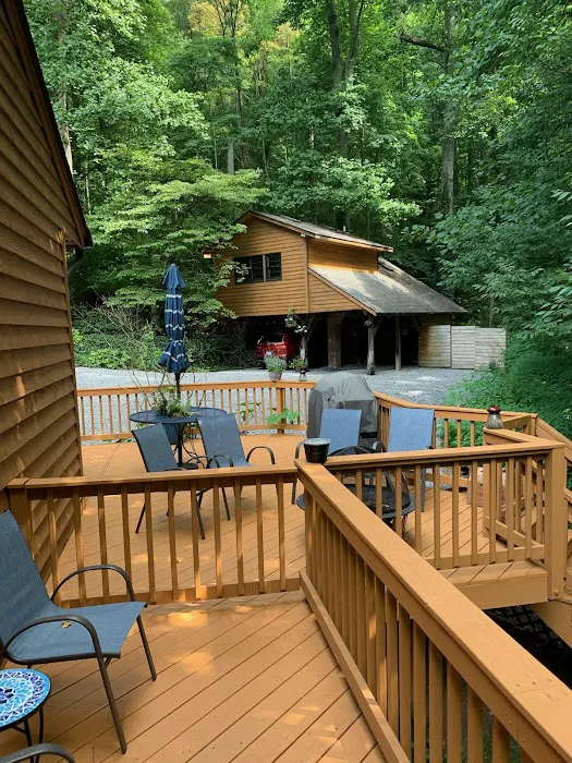 Asheville Woodland Retreat 4