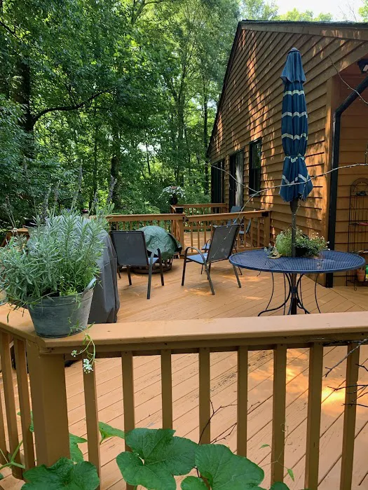 Asheville Woodland Retreat 4