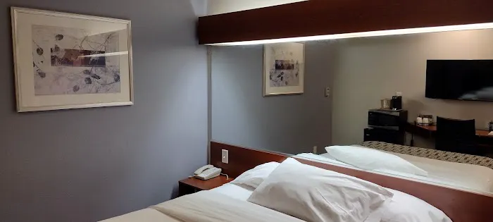 Microtel Inn & Suites by Wyndham Bremen 4