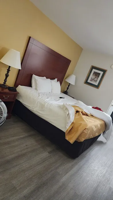 Quality Inn & Suites 4