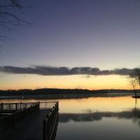 Camp Collinswood ico