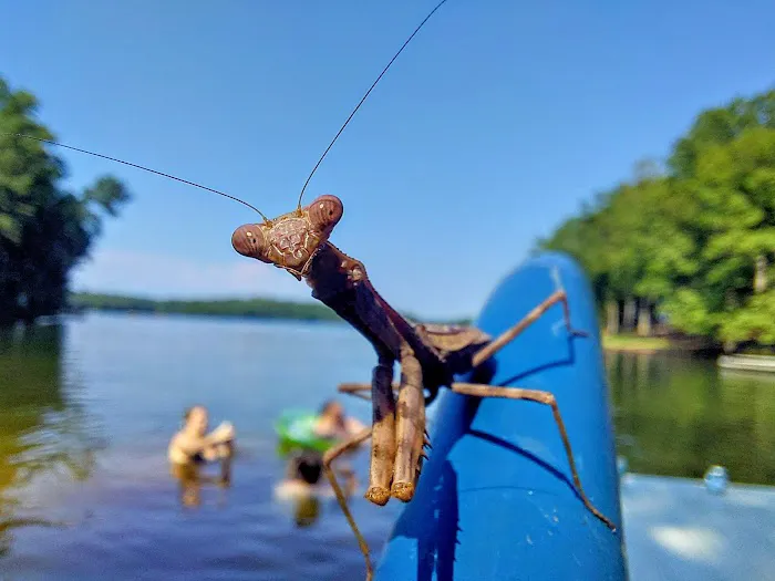 Lake Oconee 4