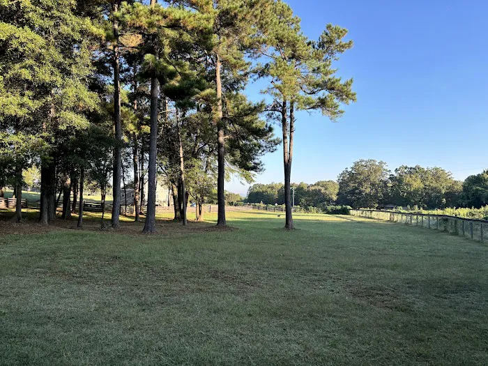 Dog Park Vacation Home 4