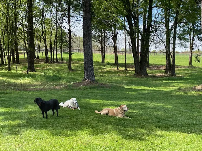 Dog Park Vacation Home 4