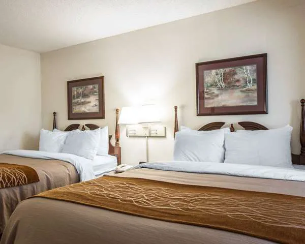 Comfort Inn & Suites at I-85 4