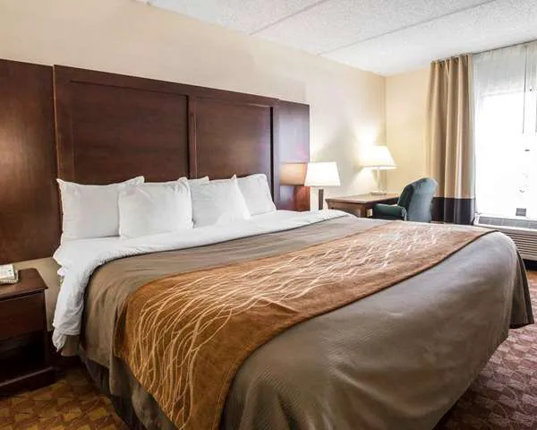 Comfort Inn & Suites at I-85 4