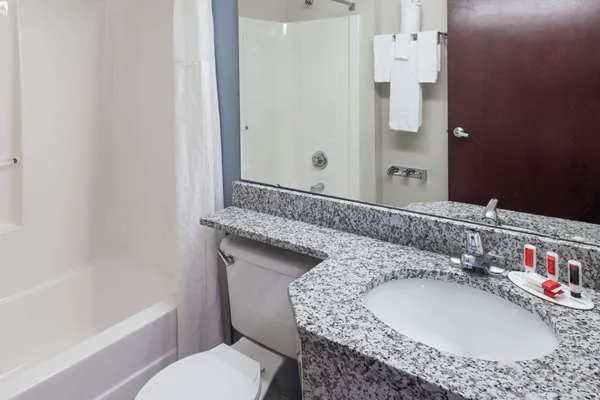 Microtel Inn & Suites by Wyndham Greenville / Woodruff Rd 4