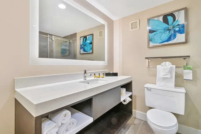 Best Western Plus Greenville I-385 Inn & Suites 4