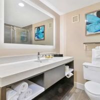 Best Western Plus Greenville I-385 Inn & Suites ico