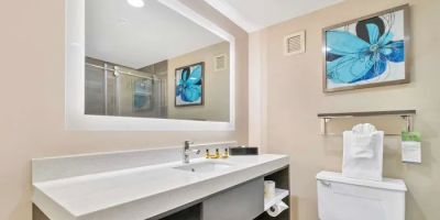 Best Western Plus Greenville I-385 Inn & Suites