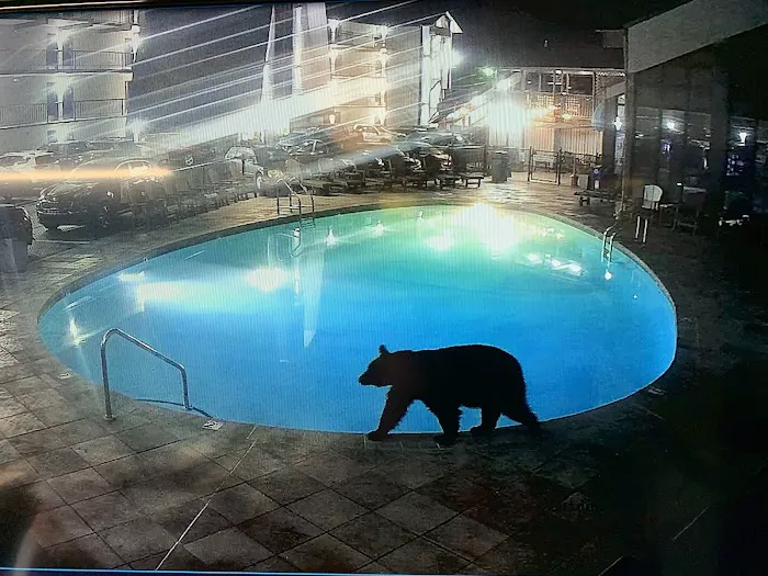 Sidney James Mountain Lodge - Downtown Gatlinburg 4
