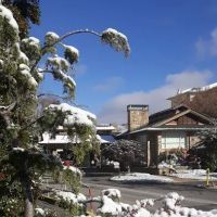 The Greystone Lodge On The River ico
