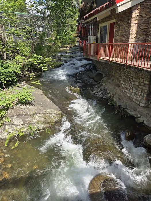 Zoder's Inn & Suites 4