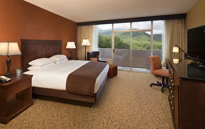 The Park Vista - a DoubleTree by Hilton Hotel - Gatlinburg 4