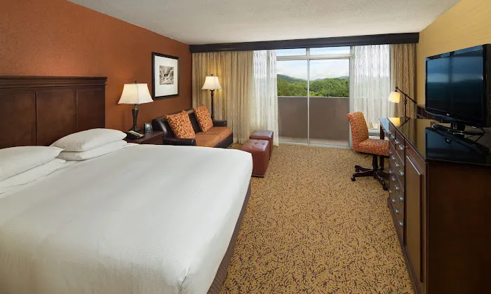 The Park Vista - a DoubleTree by Hilton Hotel - Gatlinburg 4