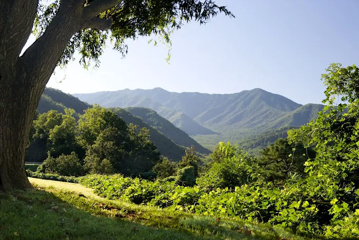 The Park Vista - a DoubleTree by Hilton Hotel - Gatlinburg 4
