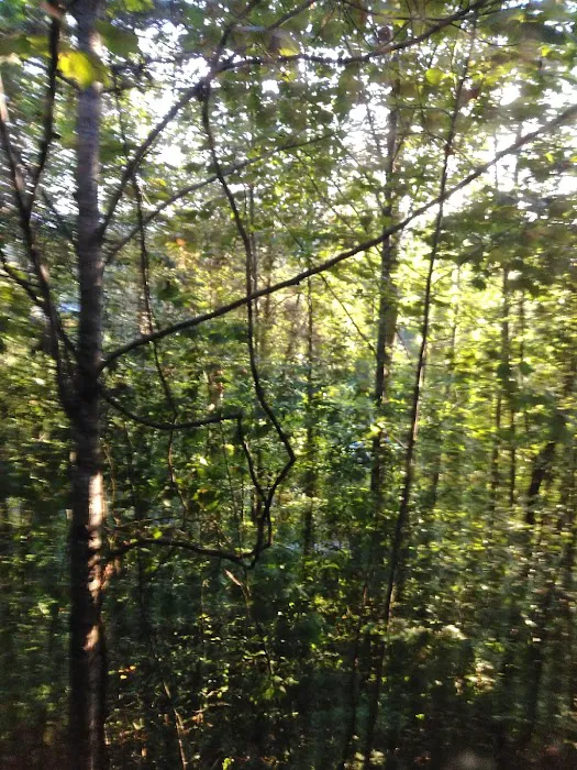 Oak Haven Resort, Cabin 10 4