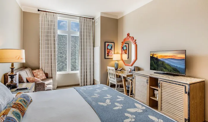 Dollywood's DreamMore Resort & Spa 4