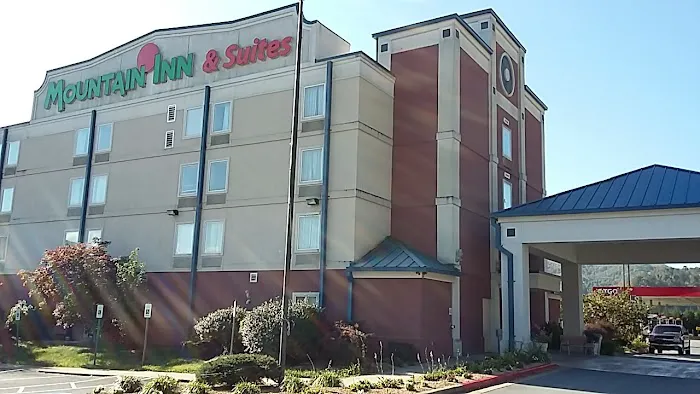 Mountain Inn & Suites I-26 Exit 40 4