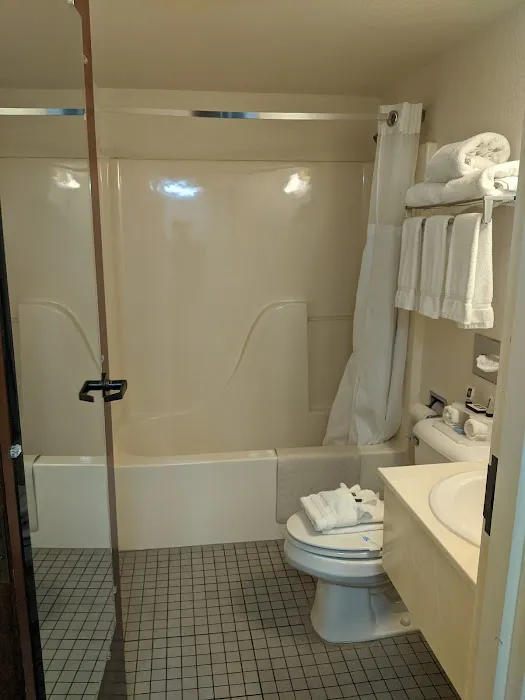 Mountain Inn & Suites I-26 Exit 40 4