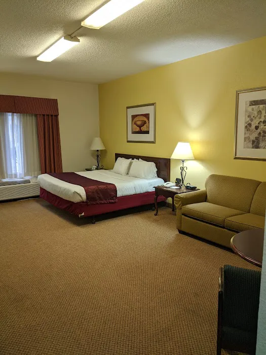 Mountain Inn & Suites I-26 Exit 40 4