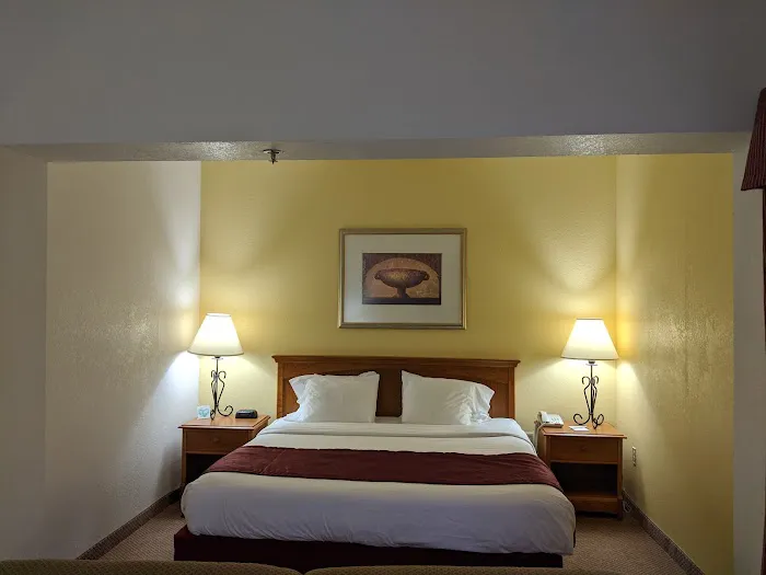 Mountain Inn & Suites I-26 Exit 40 4