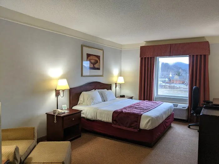 Mountain Inn & Suites I-26 Exit 40 4