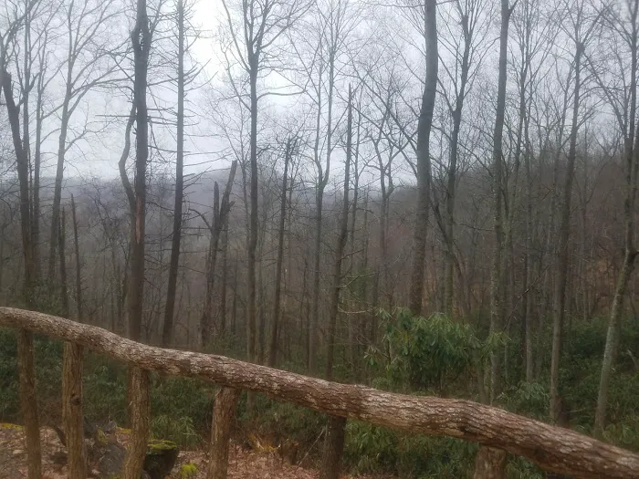 Greystone Cabins 4