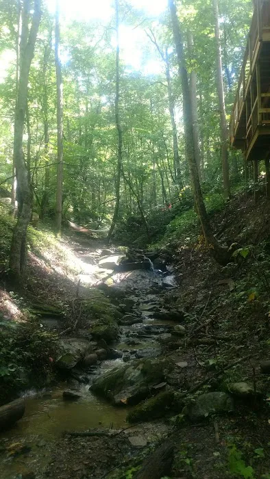 Sugar Creek Treehouse 4