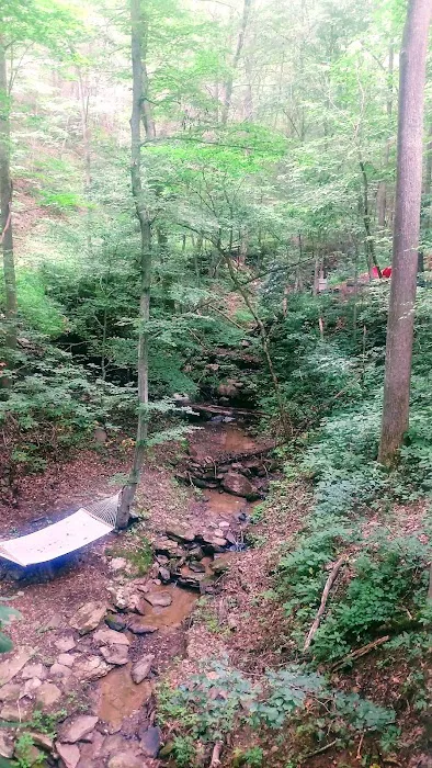 Sugar Creek Treehouse 4