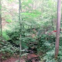 Sugar Creek Treehouse ico