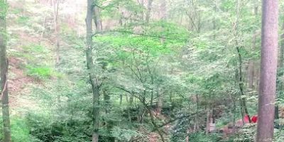 Sugar Creek Treehouse