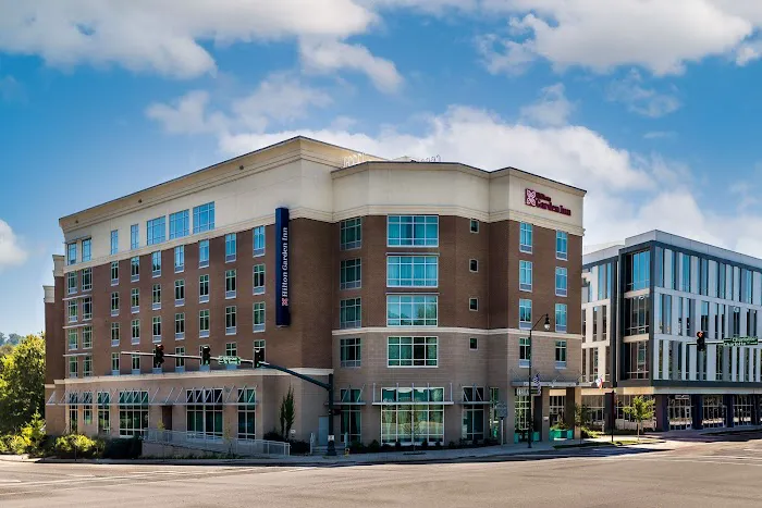 Hilton Garden Inn Asheville Downtown 4