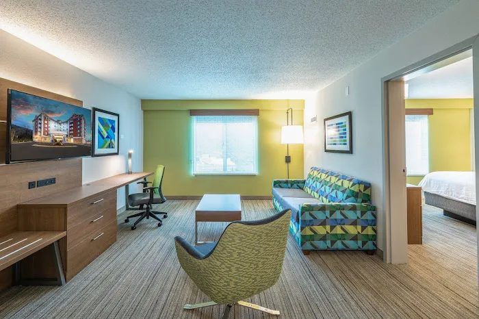 Holiday Inn Express & Suites Asheville Downtown by IHG 4