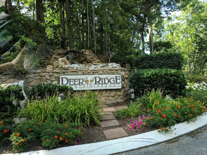 Deer Ridge Mountain Resort 4