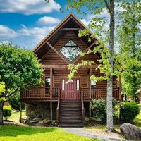 Cabin Time ico