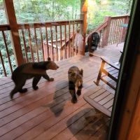 Dreams and Streams 2 Bedroom Home with Hot Tub ico