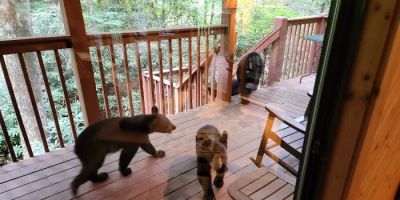Dreams and Streams 2 Bedroom Home with Hot Tub