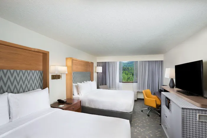 Holiday Inn Asheville East-Blue Ridge Pkwy by IHG 4