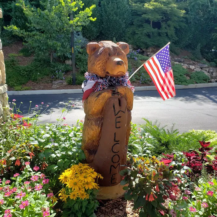 Holiday Inn Asheville East-Blue Ridge Pkwy by IHG 4